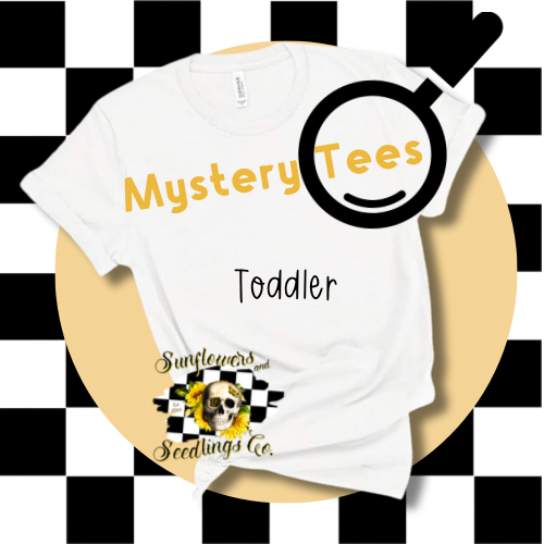 Toddler Mystery Tees - READ THE DESCRIPTION